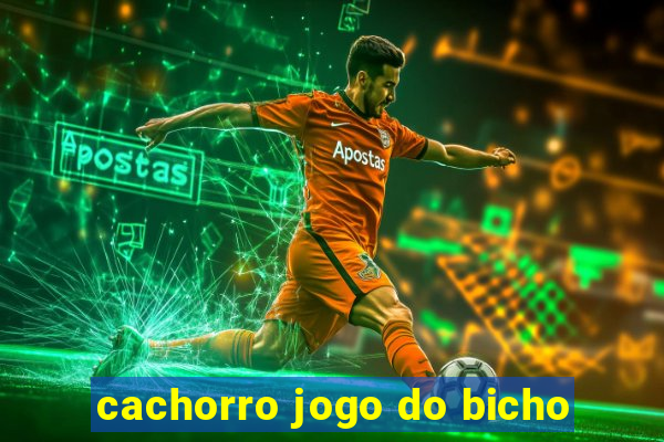 cachorro jogo do bicho